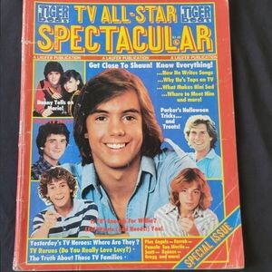 TIGER BEAT TV ALL-STAR SPECTACULAR  1977 Charlie's Angels